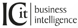 ICit Business Intelligence